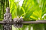 thiet-ke-web-mau-tin-tuc-00079-gioi-thieu-cuoc-nghien-cuu-ve-tai-sanh-rebirth-in-early-buddhism-current-research-